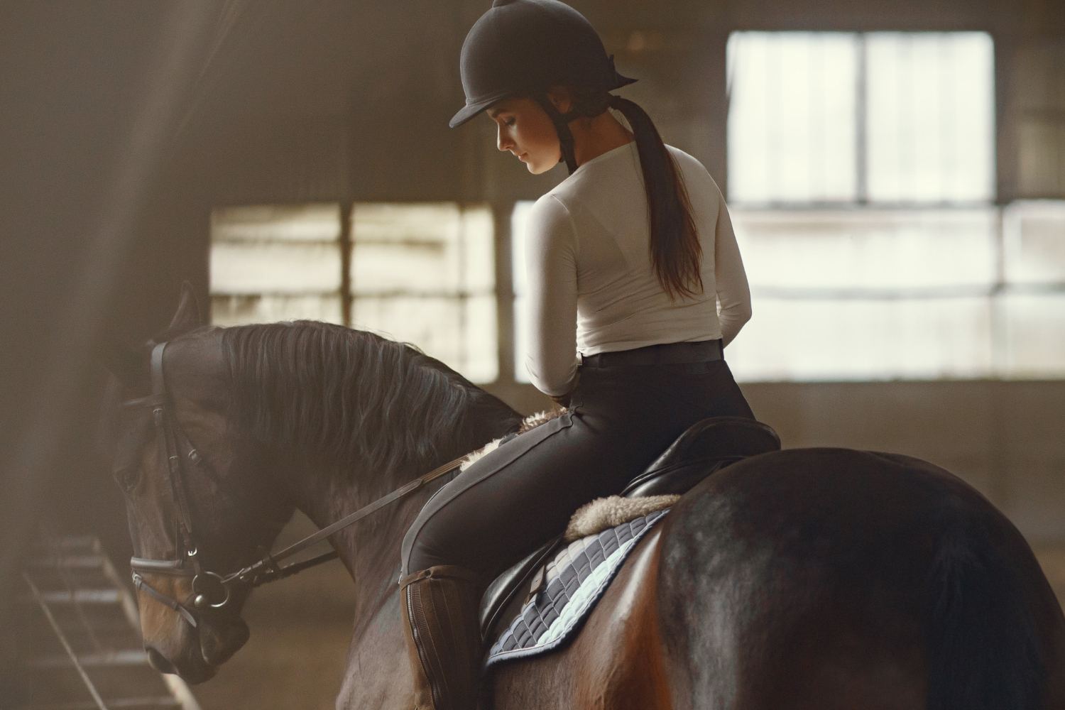 Advanced Horse Riding Courses