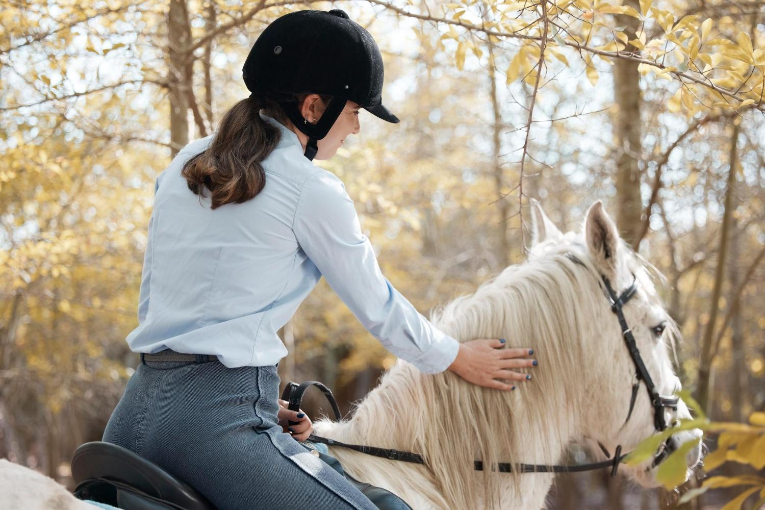 Horseback riding along scenic routes